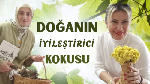 KOKULAR SAĞLIĞI DOĞRUDAN ETKİLİYOR !